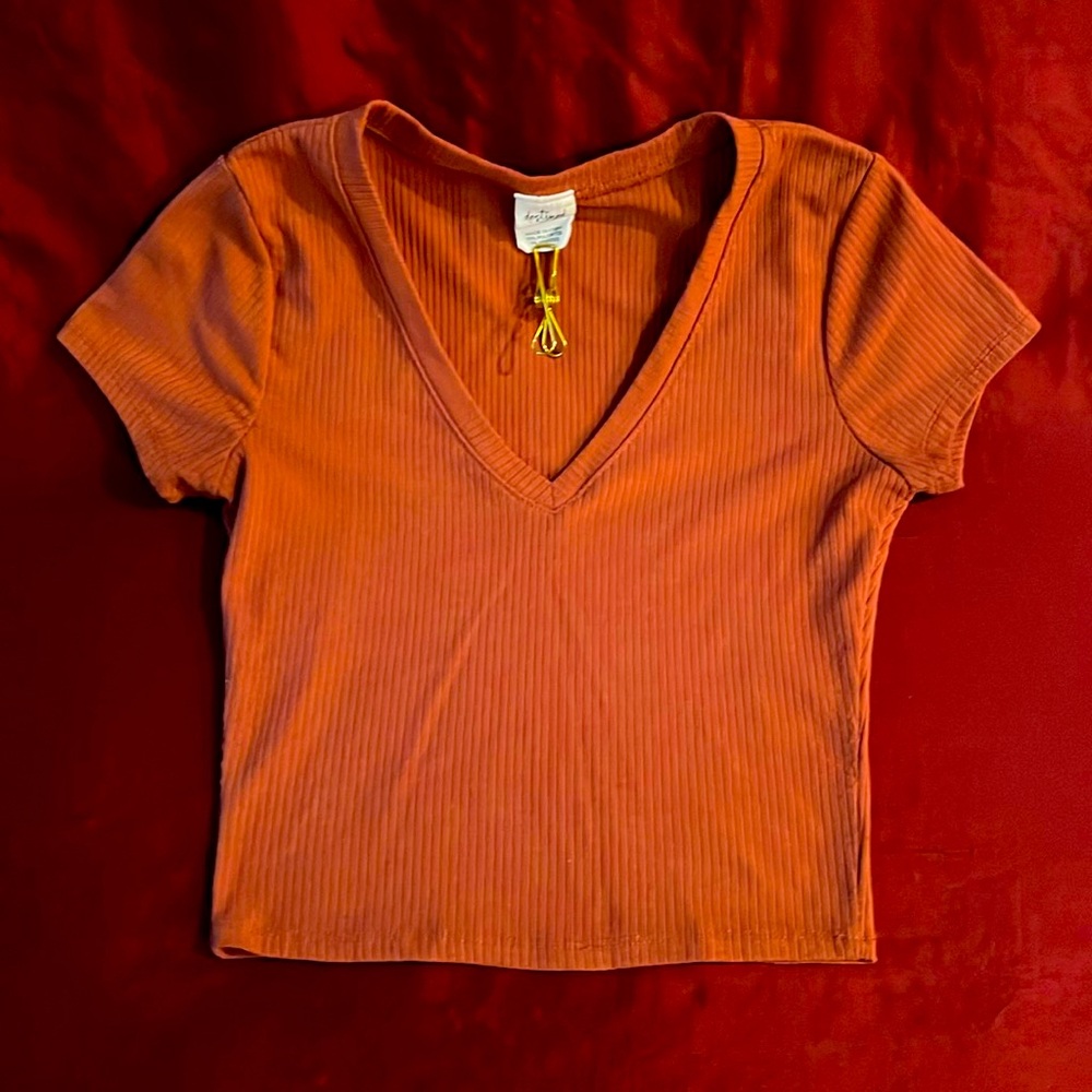 Brandy Melville Red Fitted Crop T-Shirt